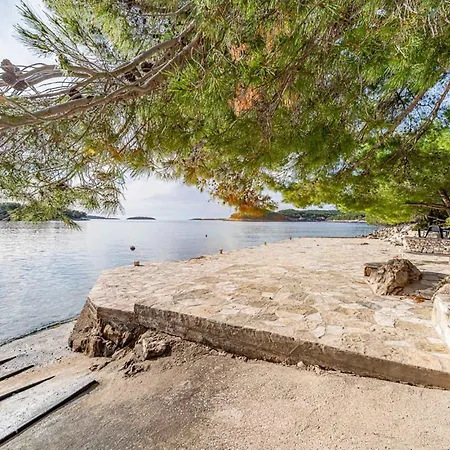 Lejlighed 2 Bedroom In Karbuni *